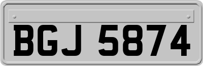 BGJ5874
