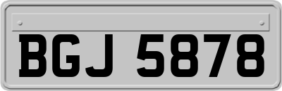 BGJ5878