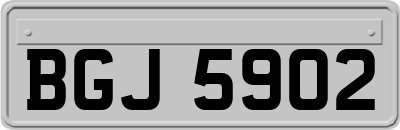 BGJ5902