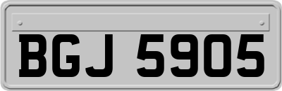 BGJ5905
