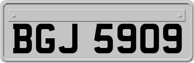 BGJ5909