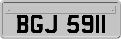 BGJ5911