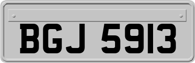 BGJ5913