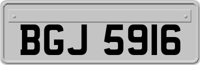 BGJ5916
