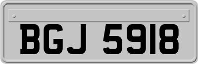 BGJ5918