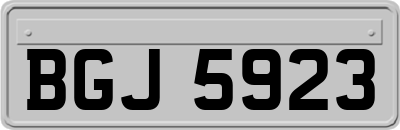 BGJ5923
