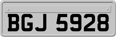 BGJ5928