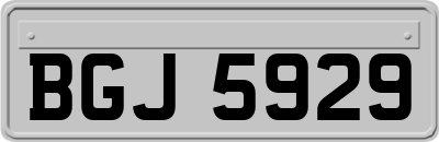 BGJ5929