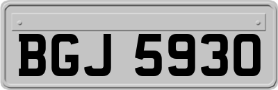 BGJ5930