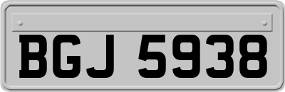 BGJ5938