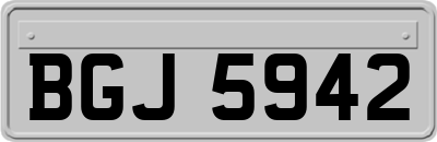 BGJ5942