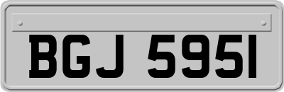 BGJ5951