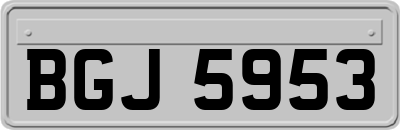 BGJ5953