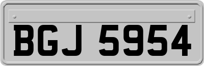 BGJ5954
