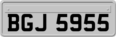 BGJ5955