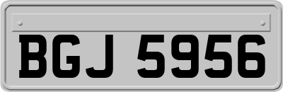 BGJ5956