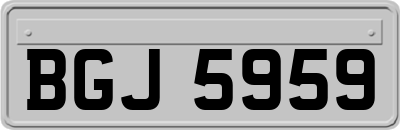 BGJ5959