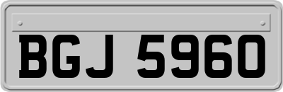 BGJ5960
