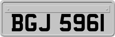 BGJ5961