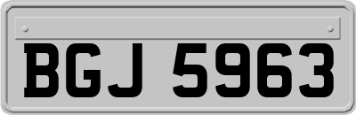 BGJ5963
