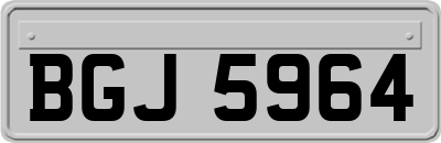 BGJ5964