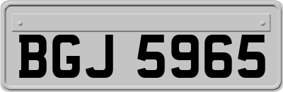 BGJ5965