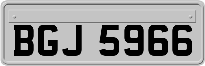 BGJ5966