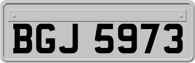 BGJ5973