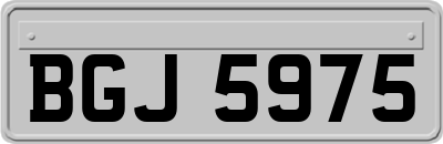 BGJ5975