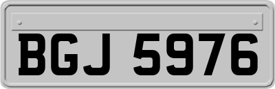 BGJ5976