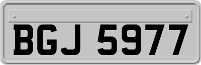 BGJ5977