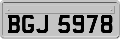 BGJ5978