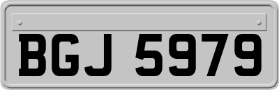 BGJ5979