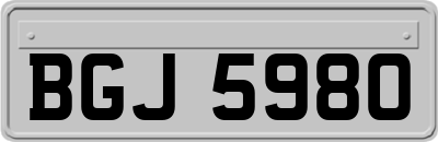 BGJ5980