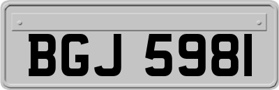 BGJ5981