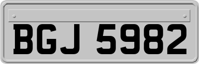 BGJ5982