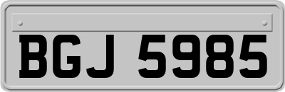BGJ5985