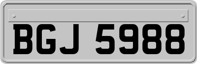 BGJ5988