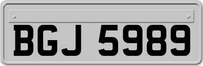 BGJ5989
