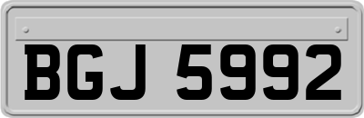 BGJ5992