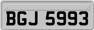 BGJ5993