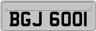 BGJ6001