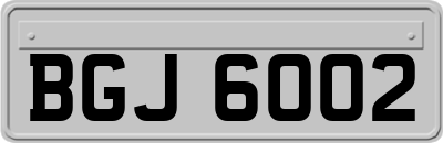 BGJ6002