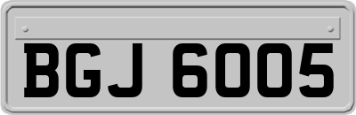 BGJ6005
