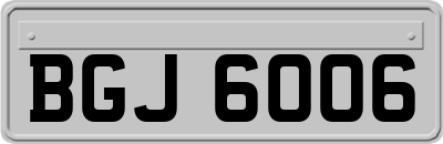BGJ6006