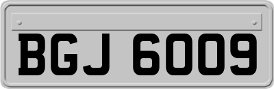 BGJ6009