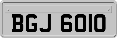 BGJ6010