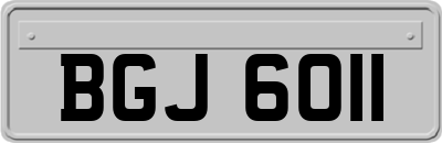 BGJ6011