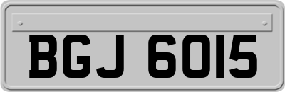 BGJ6015