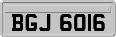 BGJ6016